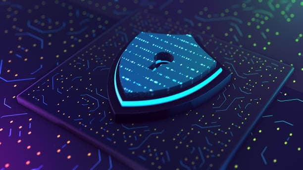 Privacy Protection